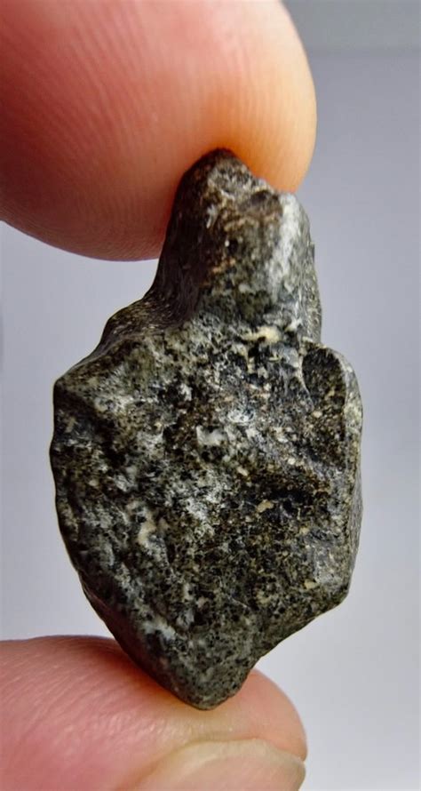 Meteorite Nwa 14131 Hed Eucrite 803 G 1 Catawiki