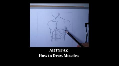 Anatomy of the muscular system. How to draw Muscles: Torso - YouTube