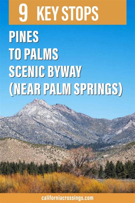 5 Reasons To Do The Palms To Pines Scenic Byway