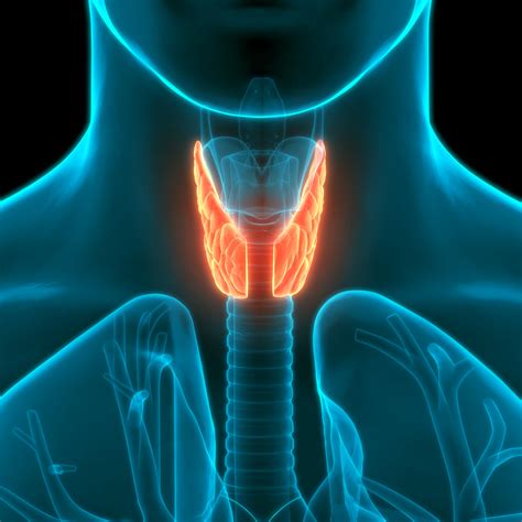 Spiritual Cause Of Thyroid Problems • Energetic Wisdom