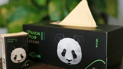 Chinese Firm Turns Panda Poop Into Toilet Paper Enca