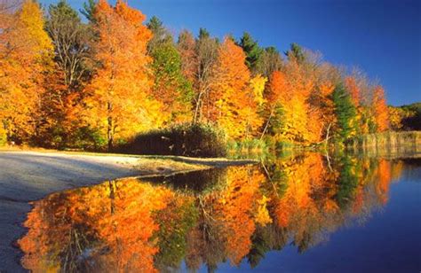 The 6 Best Fall Foliage Drives In New England