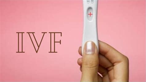 Everything To Know About Ivf Wloger Advancing Your Health