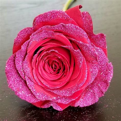 13,816 likes · 182 talking about this. Dark Pink Roses with Pink Glitter - 12 Stem Rose Bouquets