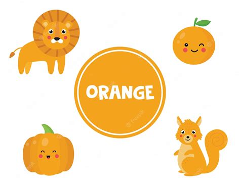 Premium Vector Cute Vector Flashcard With Set Of Orange Objects
