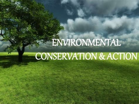Environmental Conservation And Action