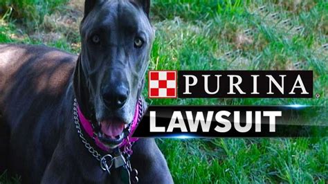 The lawsuit, which represents consumers in minnesota, california and florida, claims that these products exhibit false advertising among other violations. Lawsuit claims popular pet food made dogs sick