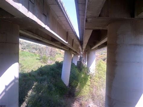Iscriversi al codacons comporta tutta una serie di vantaggi legati all'assistenza del consumatore. Frana viadotto in Sicilia, Codacons lancia class action ...