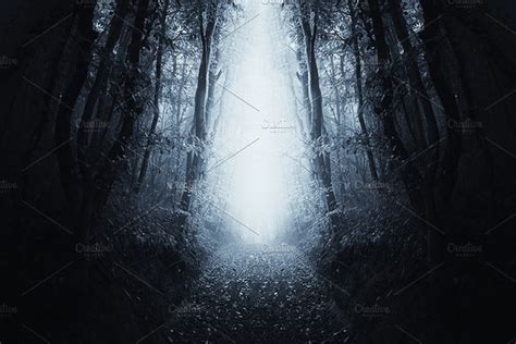 Path Through Haunted Dark Forest High Quality Nature Stock Photos