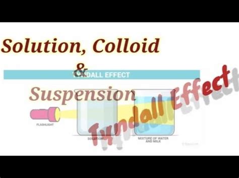 Maybe you would like to learn more about one of these? Solution Colloid and suspention| Tyndall Effect| Class 9 ...