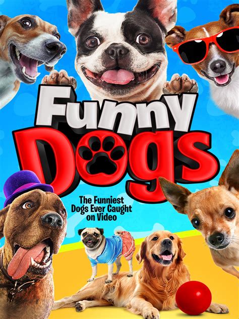 From kids to adults, everyone can enjoy a nice animated tv show, and there's plenty available on amazon prime. Watch 'Funny Dogs' on Amazon Prime Video UK - NewOnAmzPrimeUK