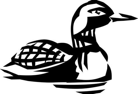 Loon Vector At Collection Of Loon Vector Free For