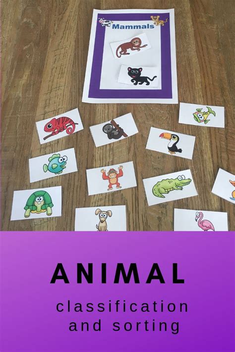 Classify And Sort Animals By Attributes Or Classification Fur No Fur