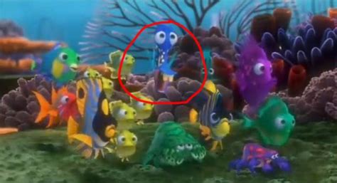 The Fish That Says Oh My Gosh Nemos Swimming Out To Sea Has A Name
