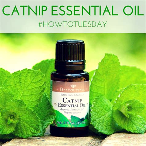 This treatment applies to the following species active ingredient. How-To Tuesday: Using Catnip For More Than Just ...