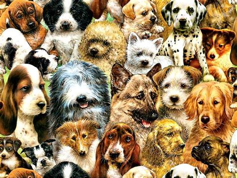 Perro Collage Collage De Perros Rompecabezas En Línea