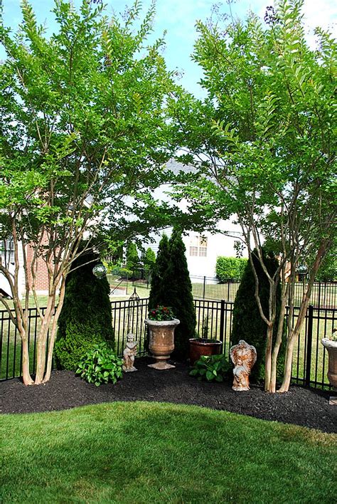 8 Great Ideas For Backyard Landscaping Privacy Landscaping Corner