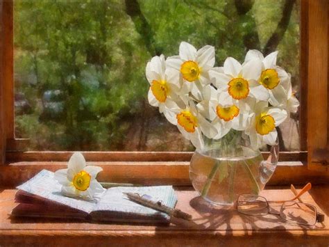 Still Life Photography Sunlight White Romantic Love Daffodils Flowers