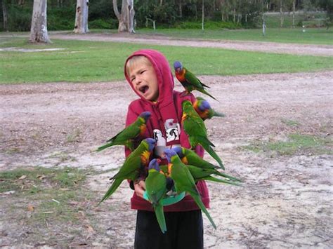 25 Times Birds Were The Biggest Jerks Gallery Ebaums World