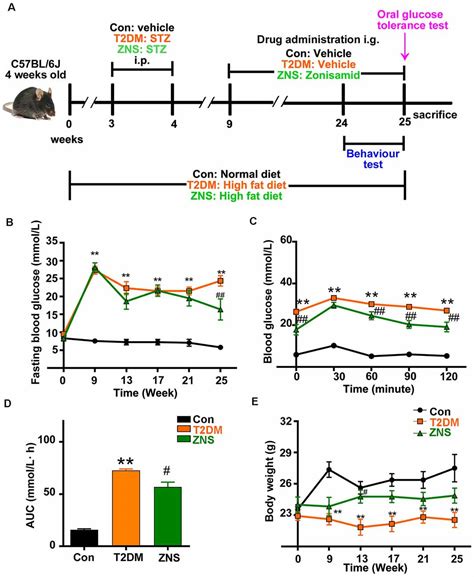 Frontiers Zonisamide Ameliorates Cognitive Impairment By