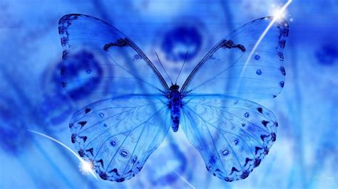 Blue Butterfly Backgrounds Wallpaper Cave