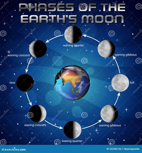 Phases Of The Moon For Science Education Stock Vector Illustration Of