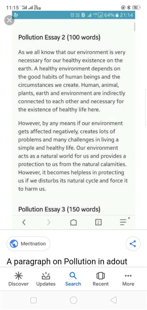 write a descriptive paragraph and environmental pollution ...