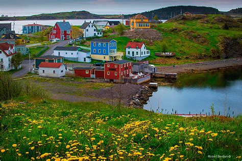 Photographing Newfoundland Part Ii The Canadian Nature Photographer