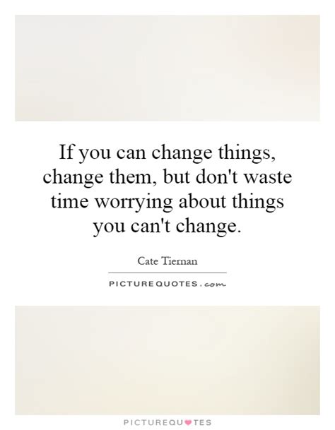 If You Can Change Things Change Them But Dont Waste Time
