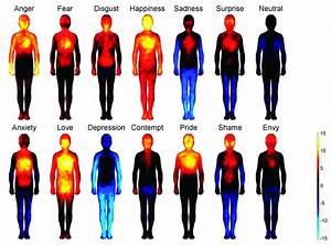 Somatic Maps Of Emotional Body Experiences The Center For Bodymind