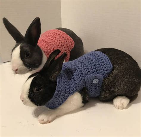 Rabbit Clothes Rabbit Sweater Rabbit Costume Sweater For Animals And