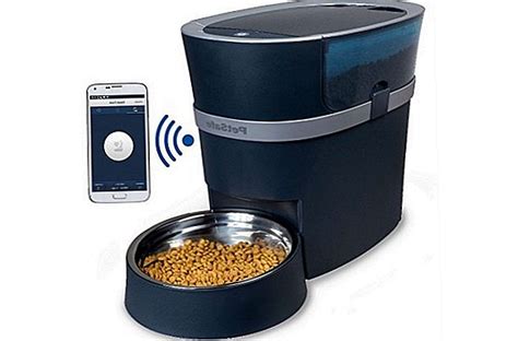 Automatic cat feeders: Types, Selection rules best cat Feeders buyers guide