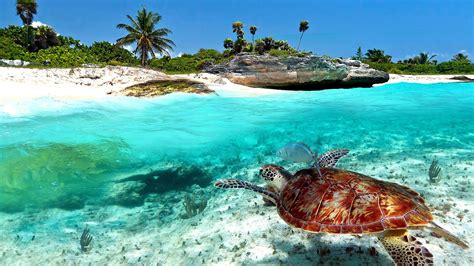 Top 115 Imagenes De Turismo De Playa En Mexico Theplanetcomicsmx