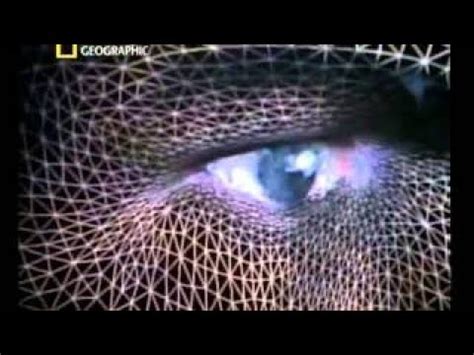 Dna Mysteries The Search For Adam National Geographic Documentary Youtube