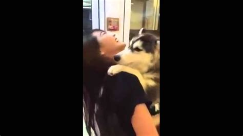 Beautiful Girl Plays With Her Dog Youtube
