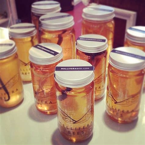 They are in an area that i need to utilize and one family member is allergic to bees. Local Designer #MelliferaBees at #brickandmortarliving / # ...