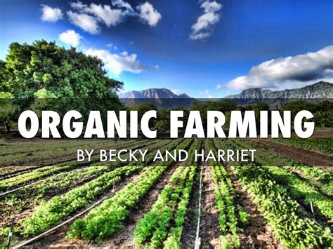Organic Farming By Harriet Law Hd Wallpaper Pxfuel