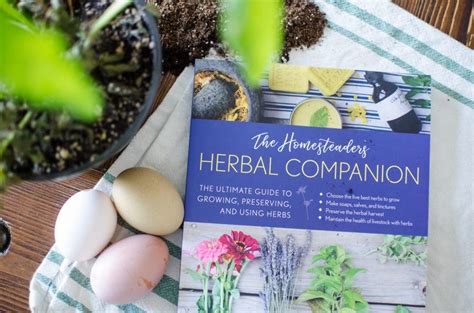 Beginners Herb Garden What To Plant Reformation Acres