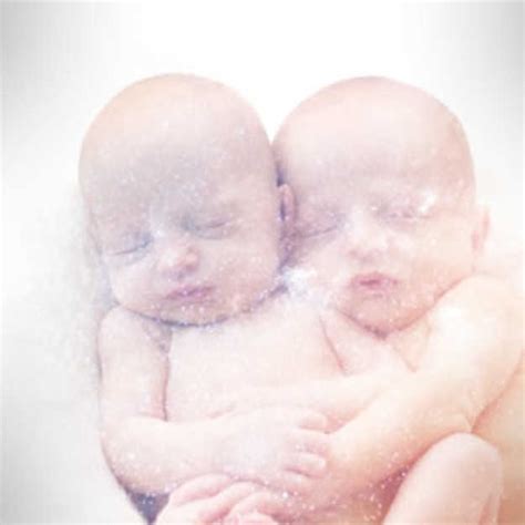 The Astrology Of Twins