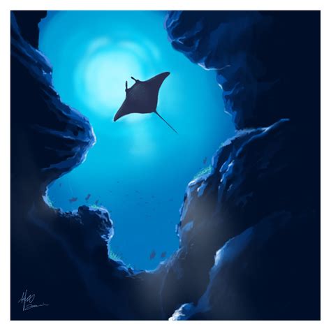 Looking At The Beautiful Manta Ray Sketch Art Artist Fish Sea