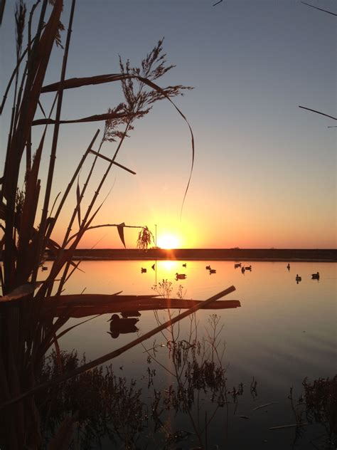 Beautiful Sunrise Opening Morning Of Duck Season Father Son Time