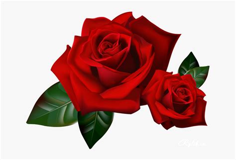 Rose Animation Youtube Beautiful Red Flowers Png Transparent Png