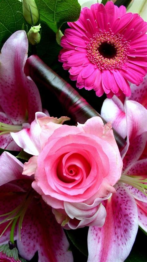 iPhone Wallpaper HD Pink Flower | Best HD Wallpapers ...
