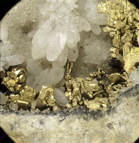 Gold Crystals Stock Image C0112391 Science Photo Library