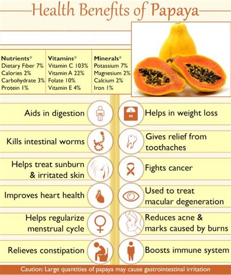 Health Benefits Of Papaya Ttn Palawan