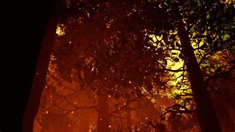 Deep Forest Fairy Tale Scene Fireflies 3d Render Stock Footage Video