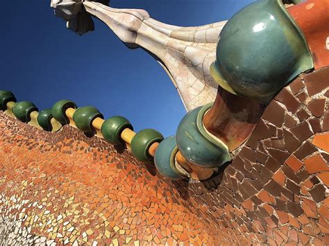 Lizard Spine By Gaudi Photograph By Lexi Rich Fine Art America