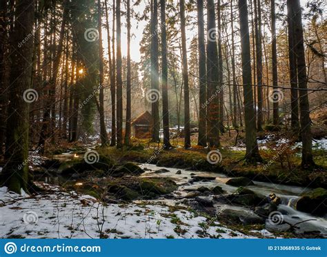 Mystical Lonely Hut Hidden Deep In Magical Woods During The Winter