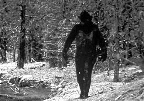 Bigfoot Dna Tests Prove Existence Researcher Claims