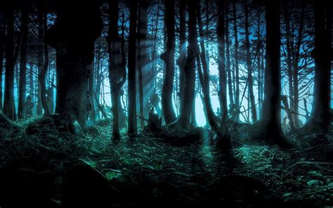Dark Forest Background Drawing Forest Art Bodegawasuon